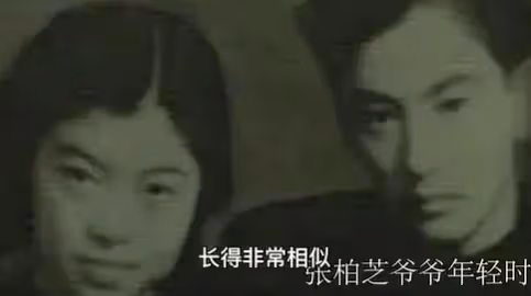 被稱為「清純玉女」,42歲的張柏芝,終究為自己的「撒謊成癮」付出了代價