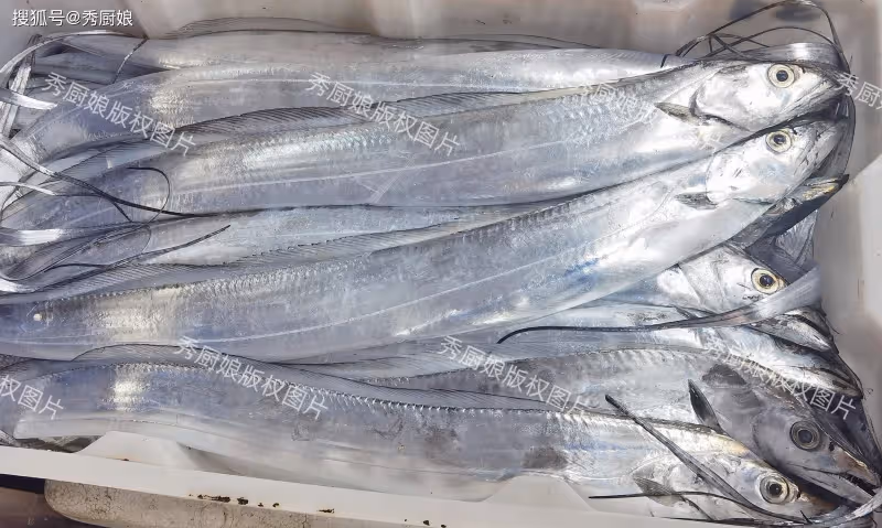冬天買海魚,切記優選這6種魚,純野生不能人工養殖,好吃還不貴