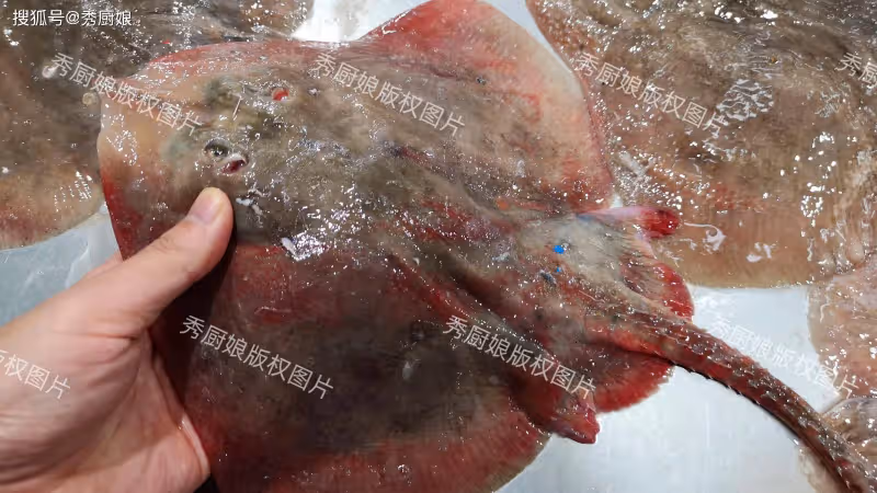 冬天買海魚,切記優選這6種魚,純野生不能人工養殖,好吃還不貴