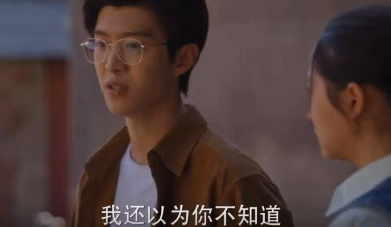 《小巷人家》:原來,這才是莊圖南力挺妹妹去廣州的真相