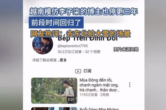 越南博主深度模仿李子柒,從造型到風格,李子柒回歸她也將復出