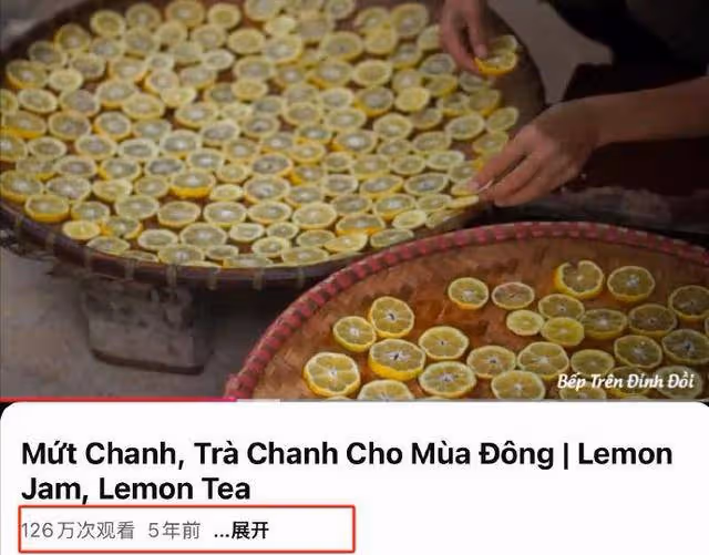 越南博主深度模仿李子柒,從造型到風格,李子柒回歸她也將復出