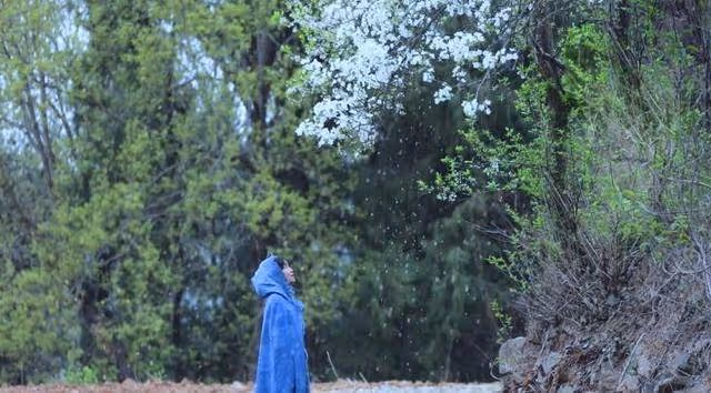 越南博主深度模仿李子柒，從造型到風格，李子柒回歸她也將復出