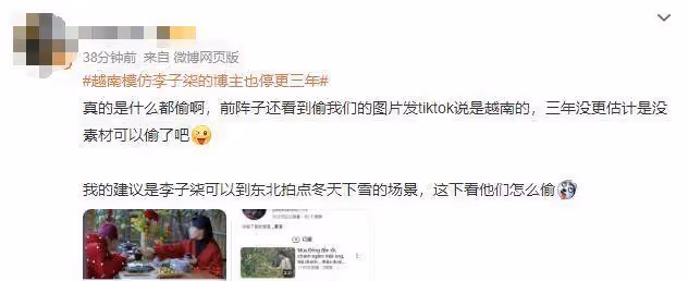 越南博主深度模仿李子柒,從造型到風格,李子柒回歸她也將復出