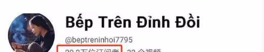 越南博主深度模仿李子柒,從造型到風格,李子柒回歸她也將復出