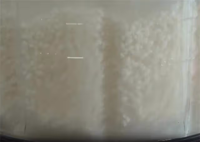 1斤大米7斤水,教你在家製作鹼水豆腐,Q彈爽滑,比嫩豆腐還要嫩