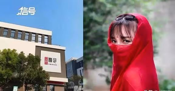 起訴資本、改名斷更，回顧李子柒3年隱忍，歸來之後難逢敵手！