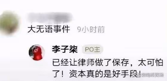 起訴資本、改名斷更，回顧李子柒3年隱忍，歸來之後難逢敵手！
