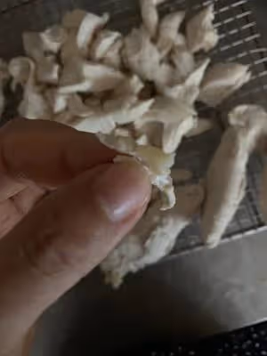自製雞肉鬆（柏翠麵包機不用手搓版）