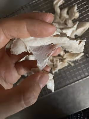 自製雞肉鬆（柏翠麵包機不用手搓版）