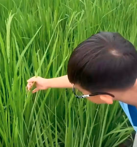 胡杏兒帶老公兒子回廣東農村老家,尋訪爺爺祖宅,素顏打扮接地氣