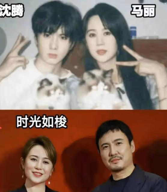 馬麗感言金雞百花雙提名:曾險因外貌換角,今贊張藝謀導演之才