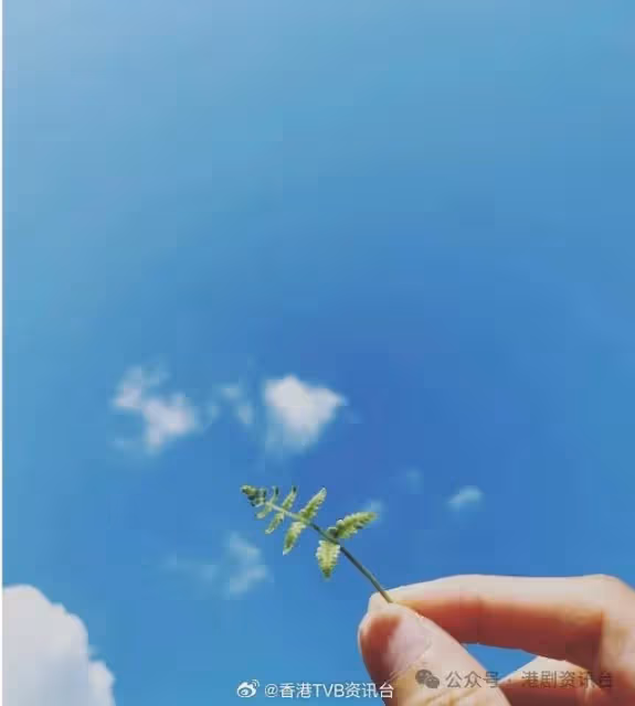 恭喜恭喜！TVB當紅花旦宣布懷孕，曬超聲波照淚流滿面