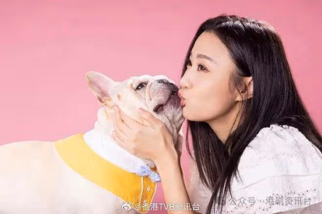 突發!TVB恩愛情侶竟宣布分手...