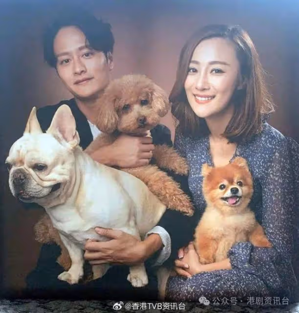 突發!TVB恩愛情侶竟宣布分手...