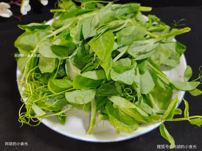 比蘿蔔營養、比白菜鮮!這個冬季菜王使勁吃,煮一碗鮮湯,嫩到無渣、鮮到跳腳,吃一次就忘不掉