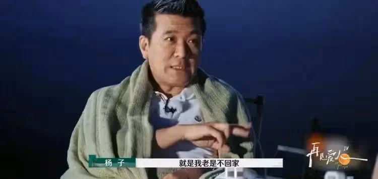 楊子後悔參加《再見愛人》網友:你離婚?流量被麥琳搶走