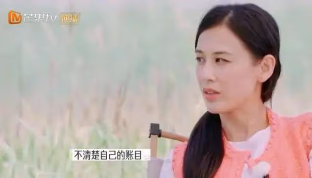 楊子後悔參加《再見愛人》網友:你離婚?流量被麥琳搶走