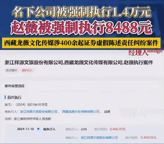 趙薇公司被強制執行14177元,網友:傷害性不高,侮辱性極強!