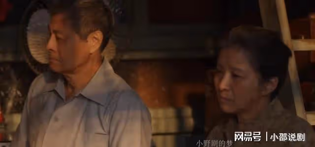 小巷人家:直到李佳送婚房給弟弟,才知圖南上門三次得到李父認可