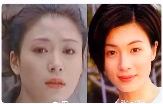 最佳女配劉丹實至名歸,嫁日本老公20年恩愛如初,趙麗穎輸在哪