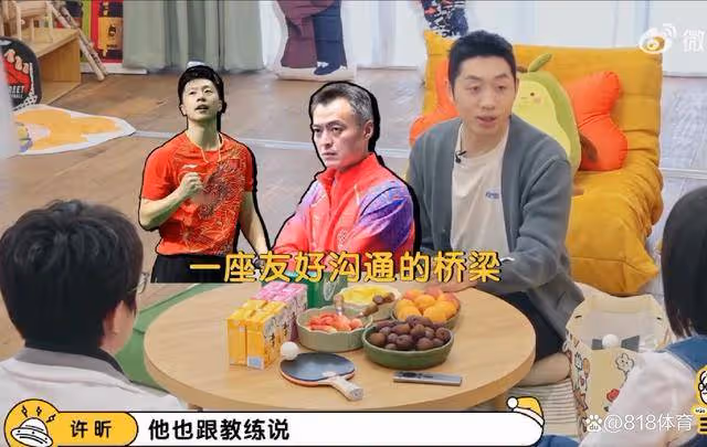 許昕:和樊振東雙打我是大腦他聽我的 和馬龍我倆都是大腦容易吵架