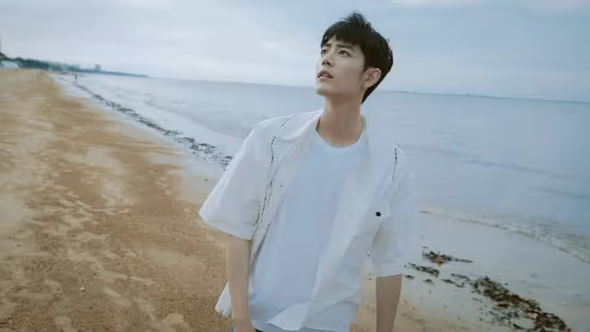 明星點評：楊紫、肖戰、陳妍希、雷佳音、張晚意、王寶強