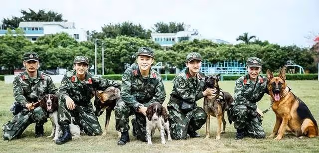 張馨予十年前後對比照曝光,結婚後變身田園女神,感情之路卻坎坷