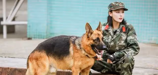 張馨予十年前後對比照曝光,結婚後變身田園女神,感情之路卻坎坷