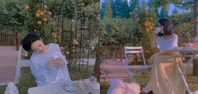 張馨予十年前後對比照曝光,結婚後變身田園女神,感情之路卻坎坷