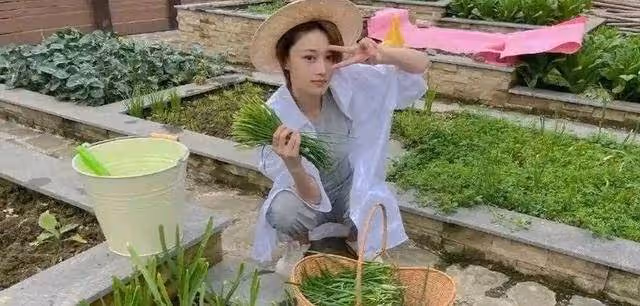 張馨予十年前後對比照曝光,結婚後變身田園女神,感情之路卻坎坷