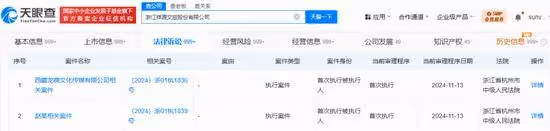 熱搜第一！趙薇公司被強制執行14177元