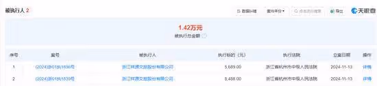 熱搜第一！趙薇公司被強制執行14177元
