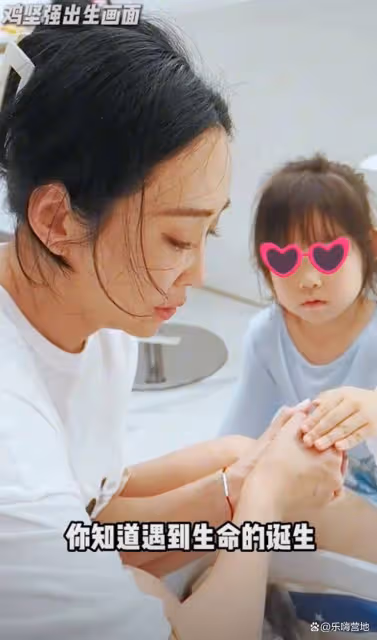 嚴屹寬6歲女兒別墅里把養雞當寵物,小雞感冒,杜若溪送雞掛急診