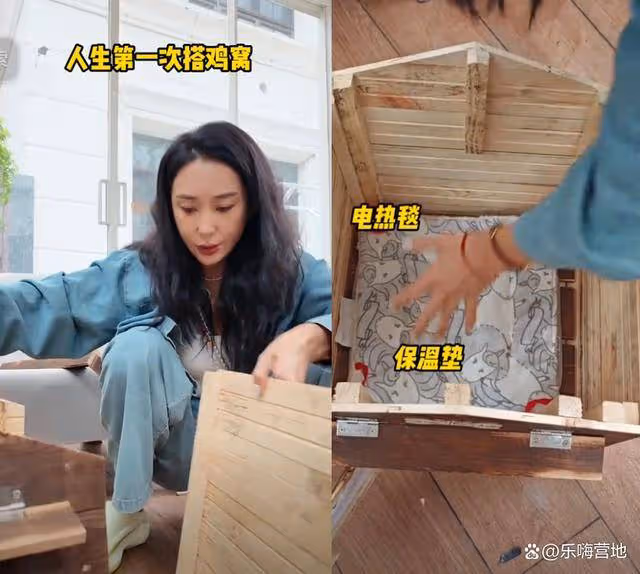 嚴屹寬6歲女兒別墅里把養雞當寵物,小雞感冒,杜若溪送雞掛急診