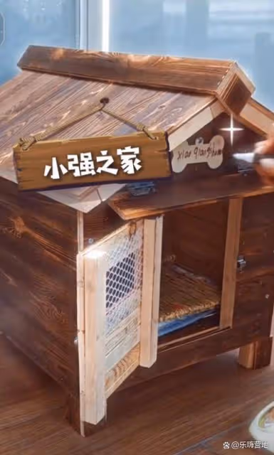 嚴屹寬6歲女兒別墅里把養雞當寵物,小雞感冒,杜若溪送雞掛急診