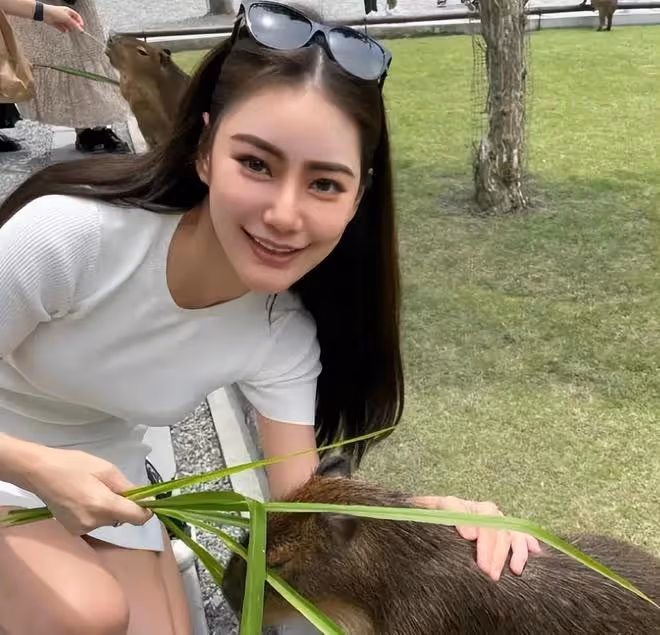 恭喜!汪小菲成為北京大學導師,夫妻一起曬榮譽證書