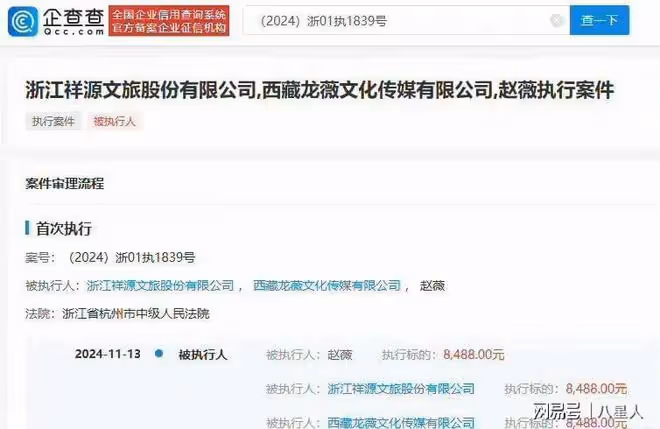 趙薇被強制執行8488元!從紅遍全國到劣跡藝人,她為何把路越走越窄