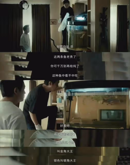 白夜破曉：關宏宇是名副其實的護哥寶！7年後雙關兄弟情更好磕了