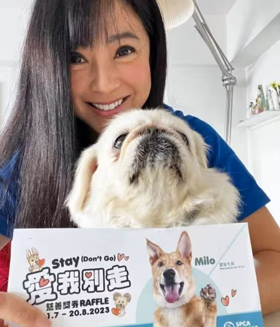 感情坎坷!54歲前TVB女星兩度豪門夢碎,今仍單身與愛犬相依為伴
