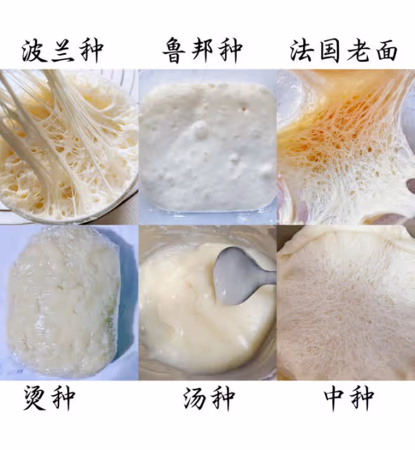 波蘭種、中種、老面、魯邦種、燙種