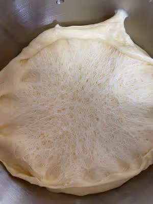 波蘭種、中種、老面、魯邦種、燙種