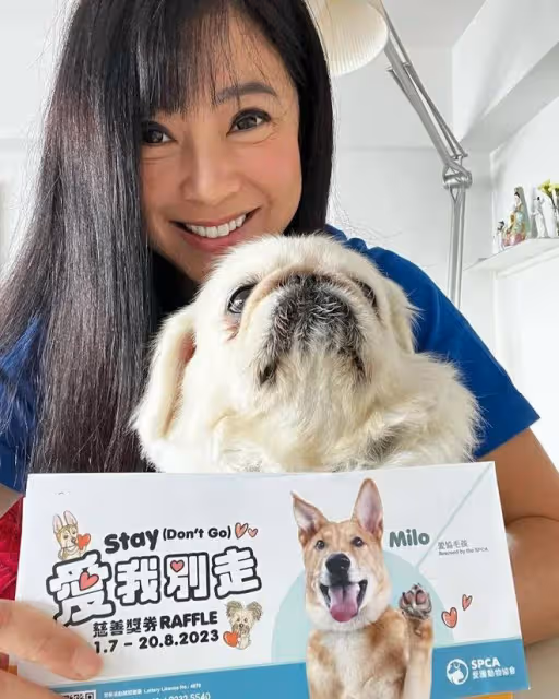 54歲前TVB女星獲傑出華人領袖獎,曾戀80億闊少兩度豪門夢碎仍單身