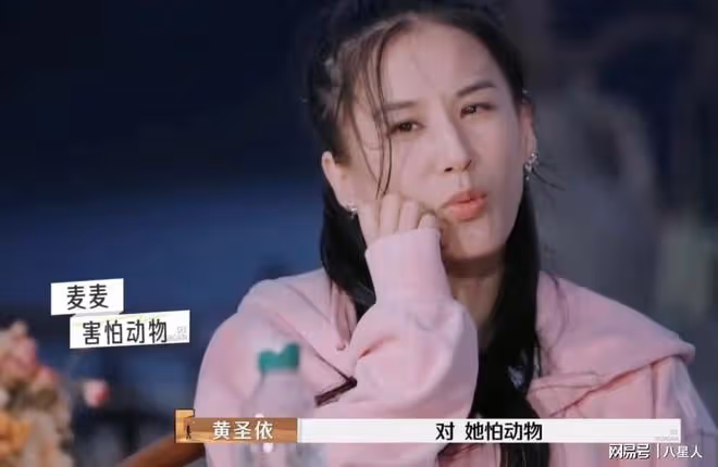 麥琳熱度遠超劉亦菲!第六期指責李行亮自私冷血,觀察室嘉賓被氣瘋