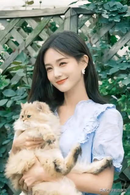 「太后資源丫鬟命」，這6位怎麼捧都不紅，江疏影袁姍姍白鹿上榜