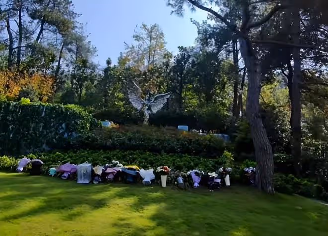 李玟墓地里的雜草被清除,環境比以前更好看,墓前擺好花盆和綠景