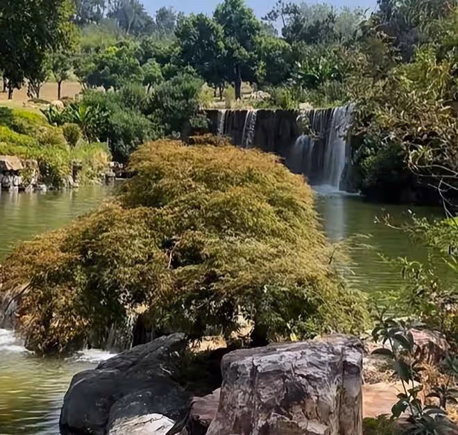 李玟墓地里的雜草被清除,環境比以前更好看,墓前擺好花盆和綠景