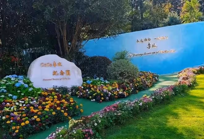 李玟墓地里的雜草被清除,環境比以前更好看,墓前擺好花盆和綠景
