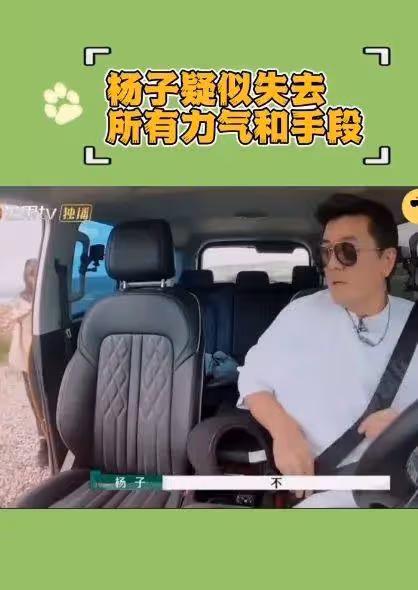 楊子被嚇得話都說不利索《再見愛人4》被麥琳徹底壓制