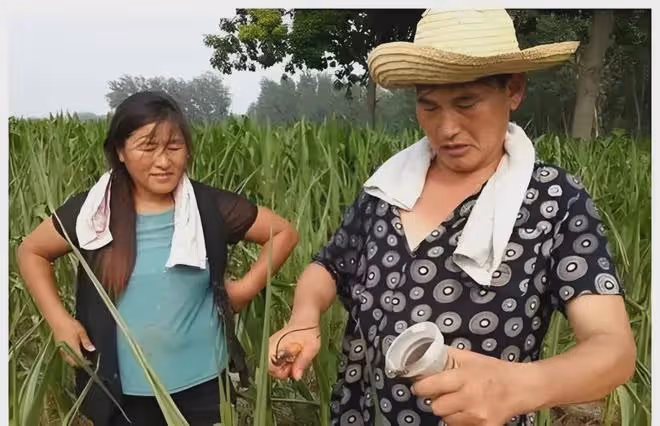 「大衣哥」朱之文的悲劇,是富極生悲!